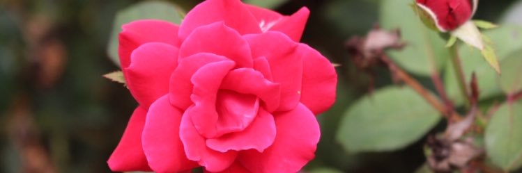 KhareemDivine's profile banner image