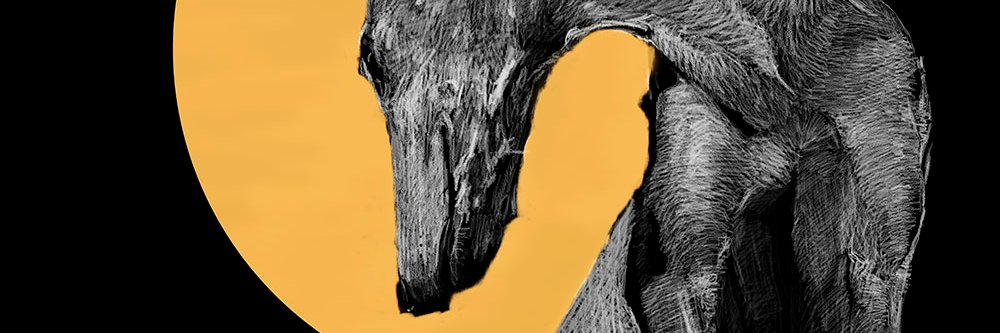 ManuBarba's profile banner image