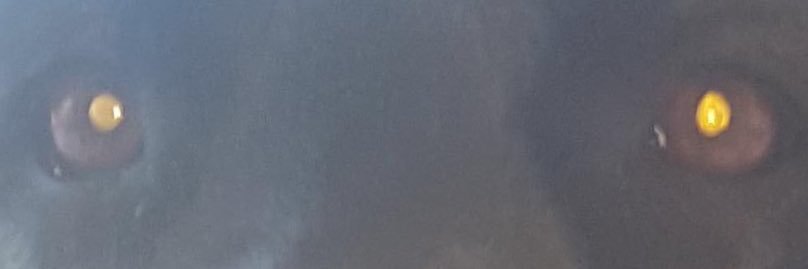 LtTejer's profile banner image