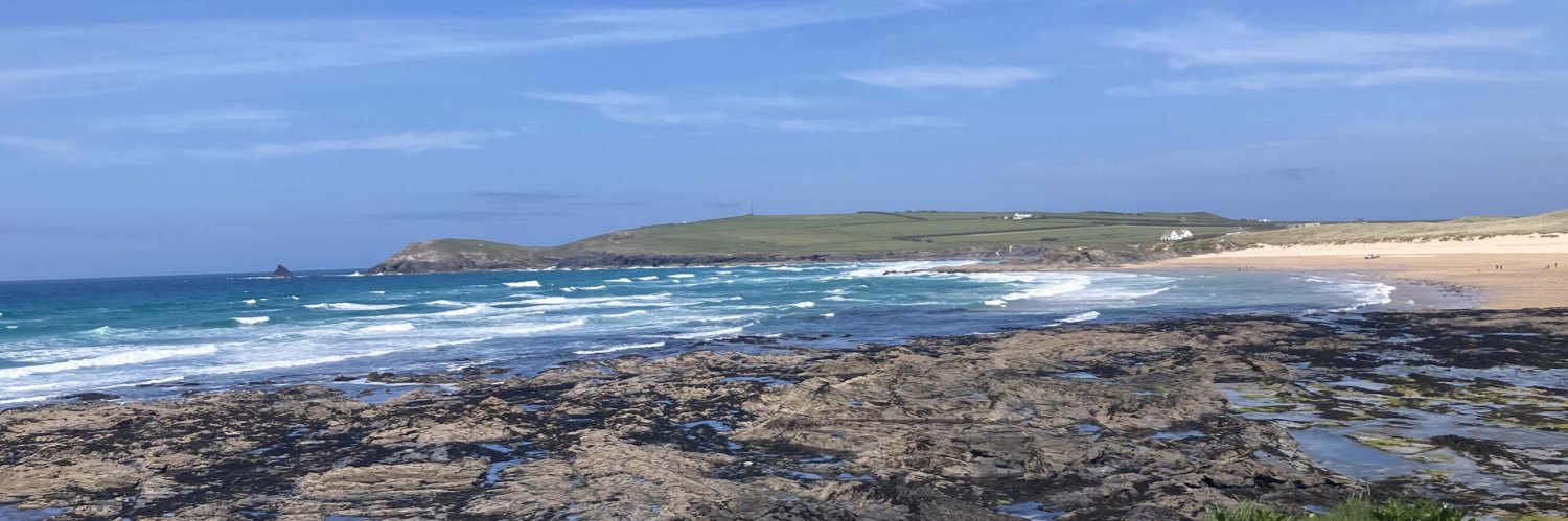 Nina Simpson 🇪🇸🇫🇷🌹🐝💚 banner