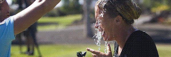 rebecca hudson banner