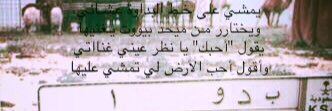 213Seif's profile banner image
