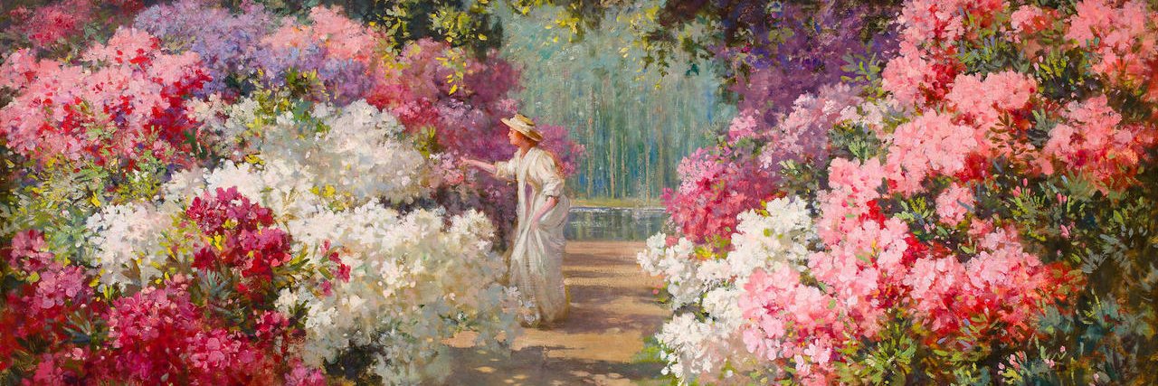 Fish 🐟♥️🐟 banner