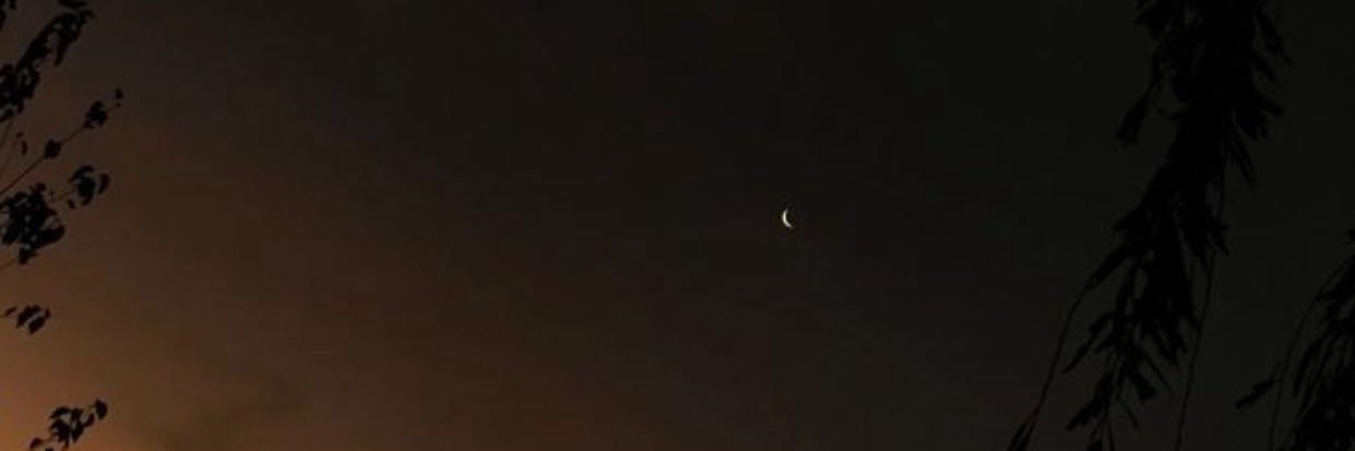 leobocos1's profile banner image