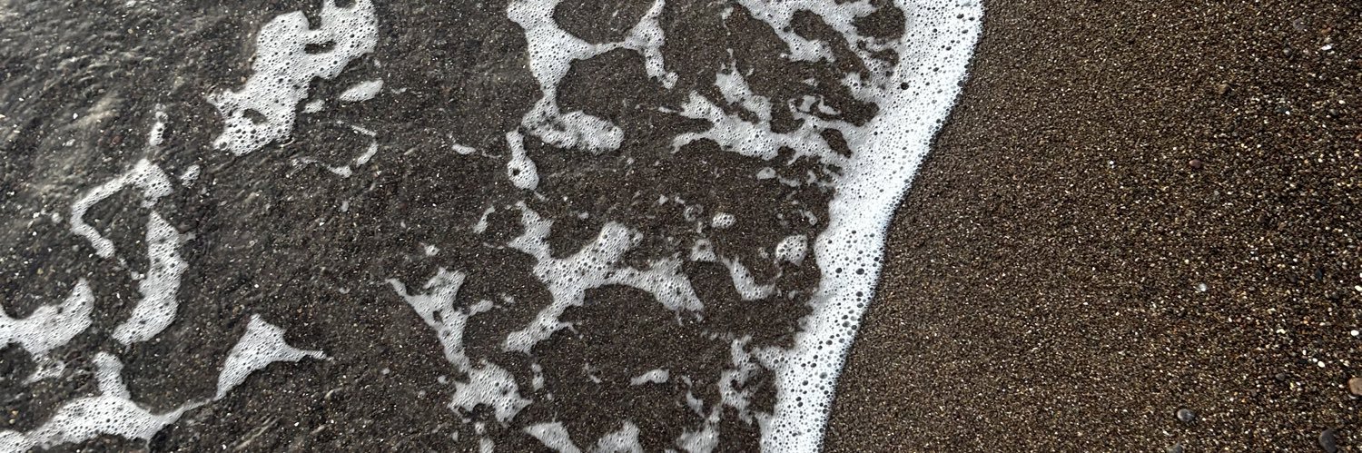 Ezgi R. Taşdemir banner