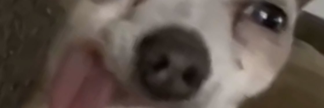 schlawanzski's profile banner image