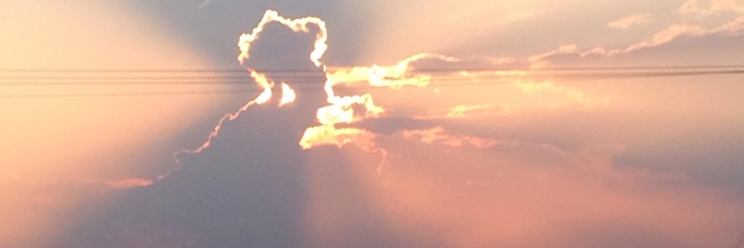 hellyesifangirl's profile banner image
