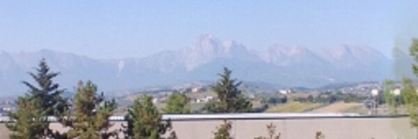 dinofant Profile Banner