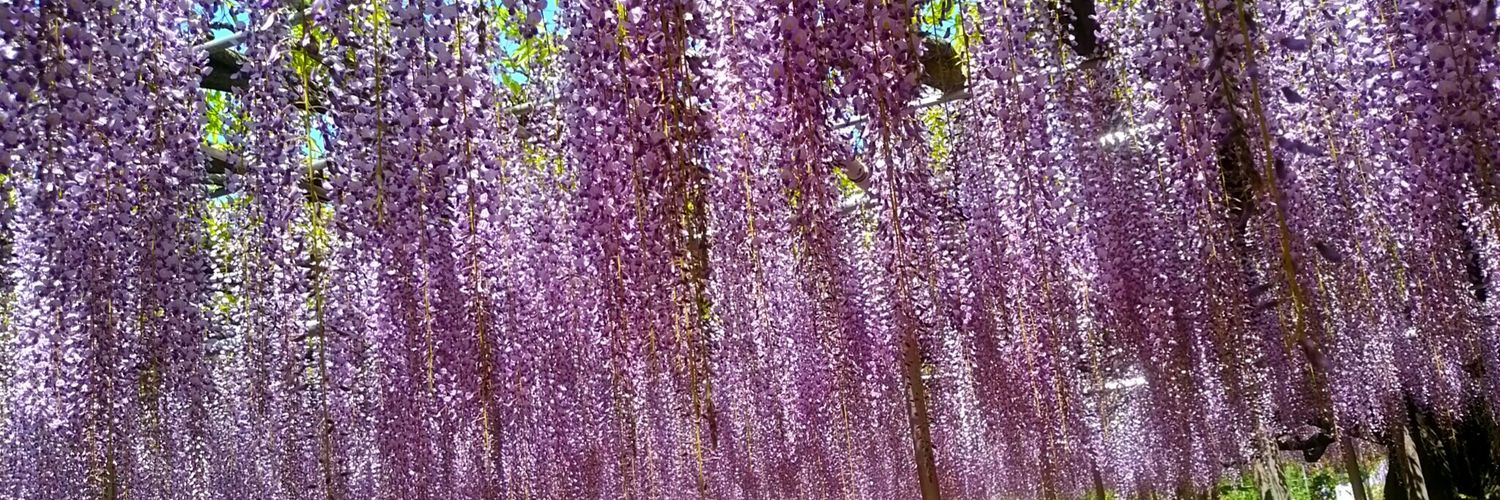 kure6tu's profile banner image
