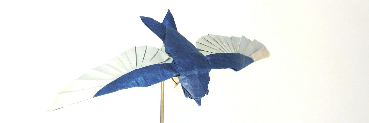 FriedmanOrigami banner