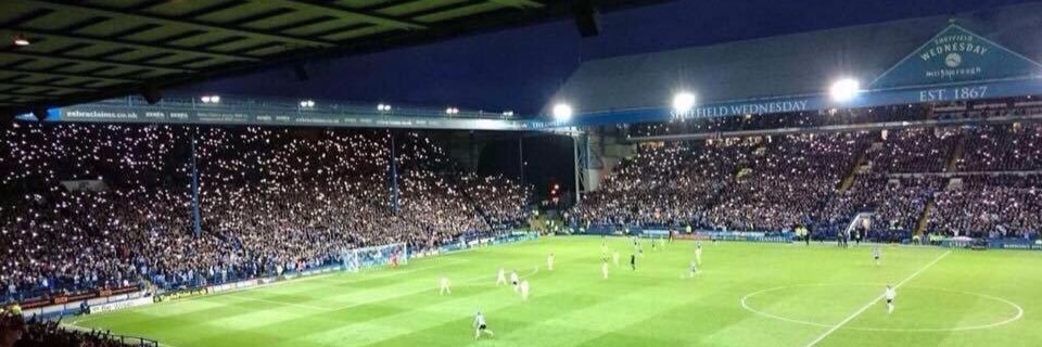 Taylor Rogers banner