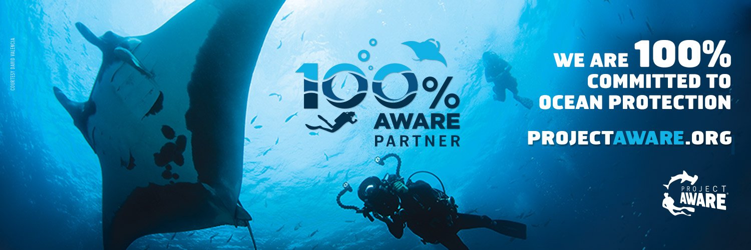 DiveWise's profile banner image