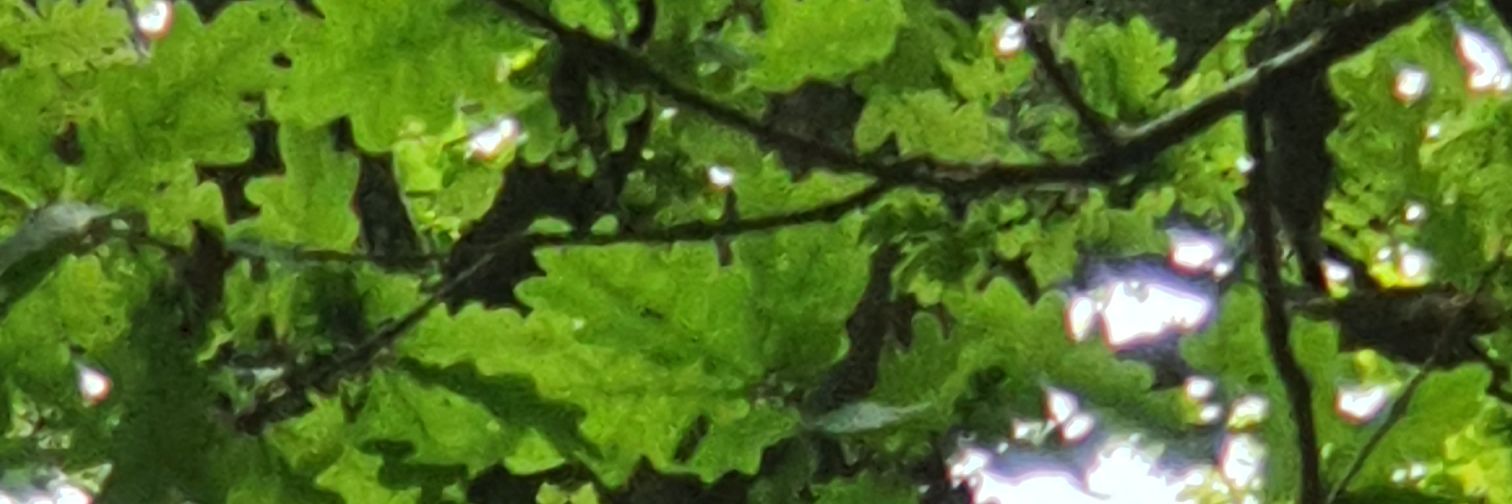 CVISH121's profile banner image