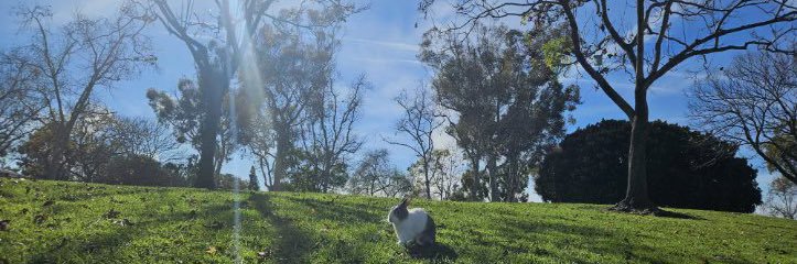 damarnfr's profile banner image