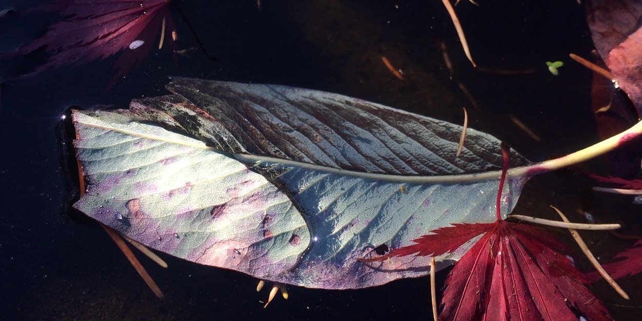 SoberCanada's profile banner image
