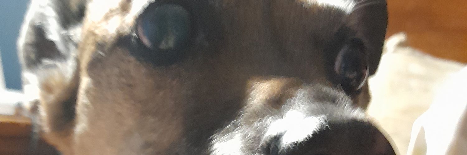 ceciv73's profile banner image