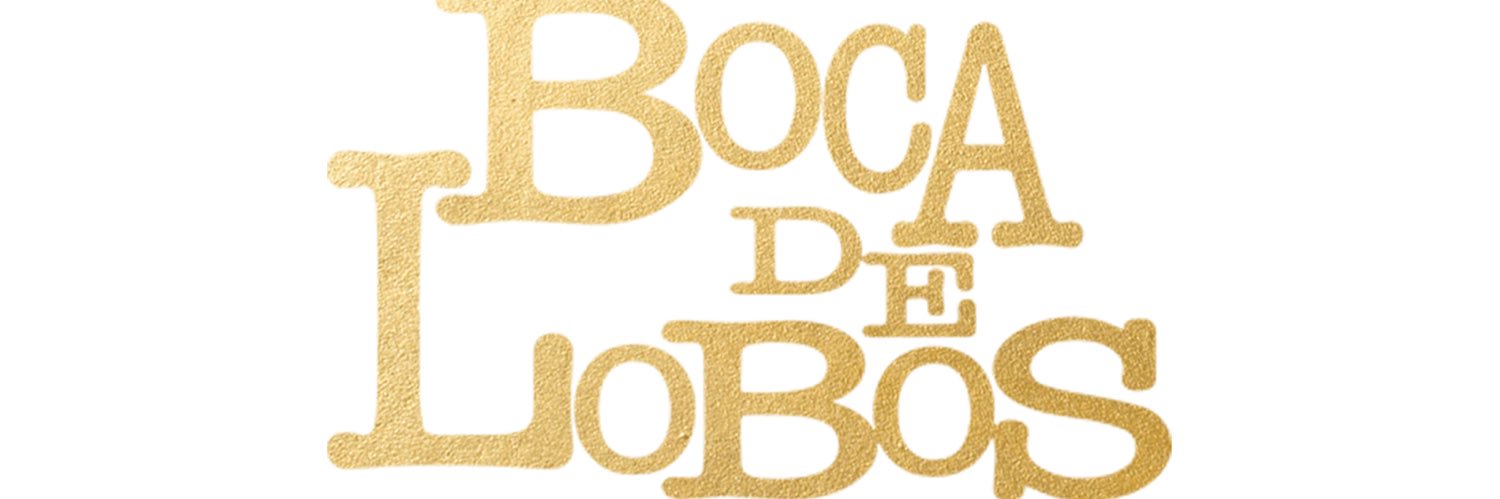 boca_de_lobos's profile banner image