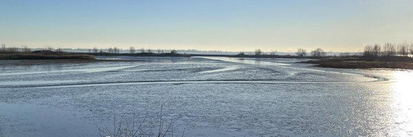 Miranda3286 Profile Banner