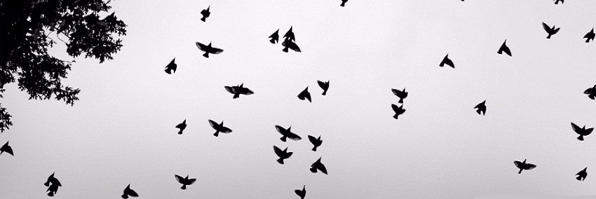 esrayavuz53's profile banner image