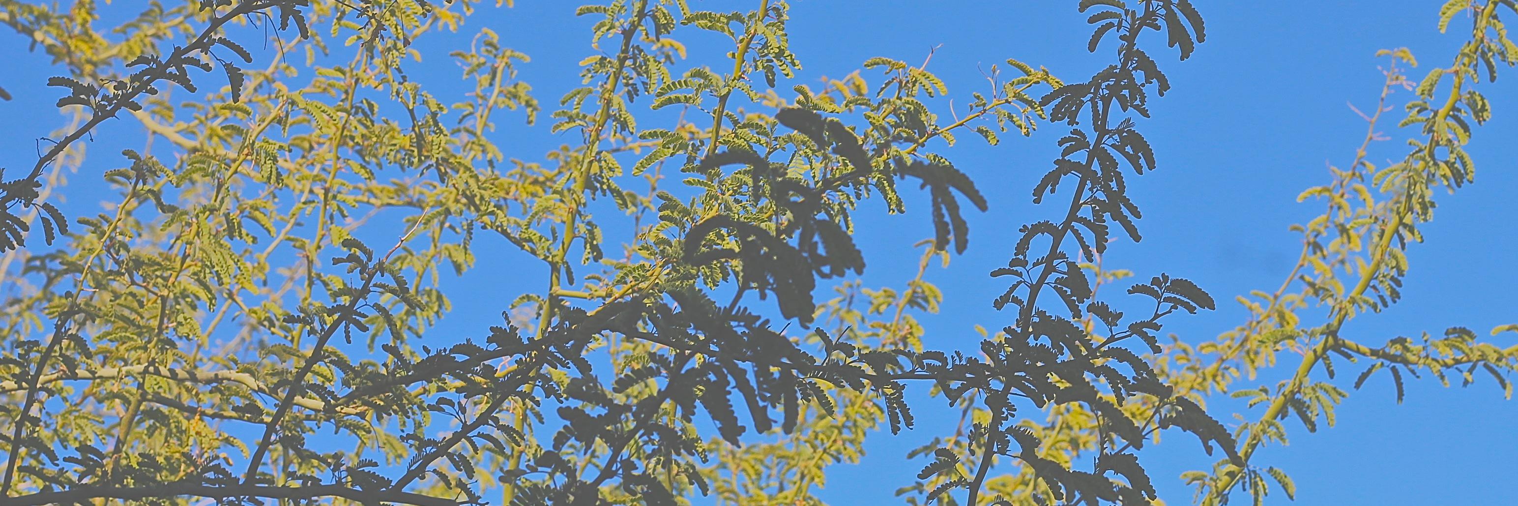 popejohnpatrick's profile banner image
