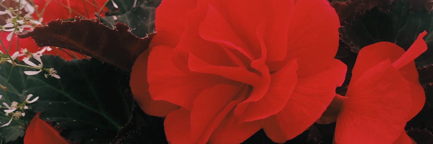 Angel_K00's profile banner image