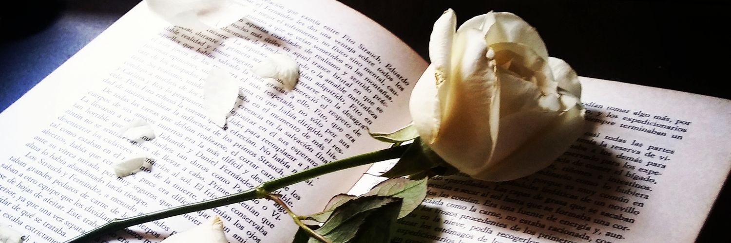 MMHLSZ's profile banner image
