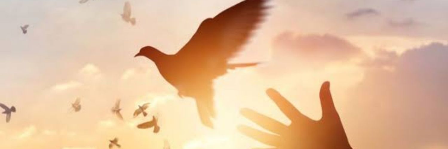 RamiMorris's profile banner image