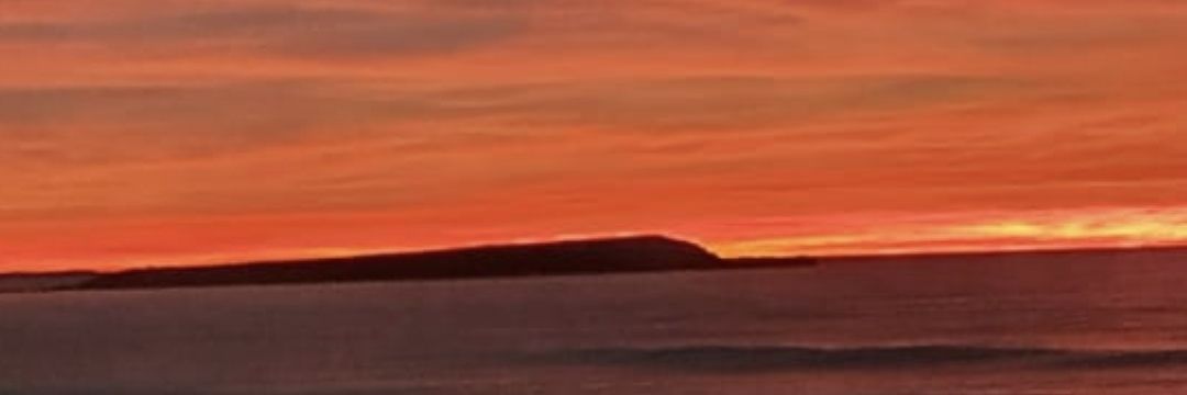 mandrake11's profile banner image