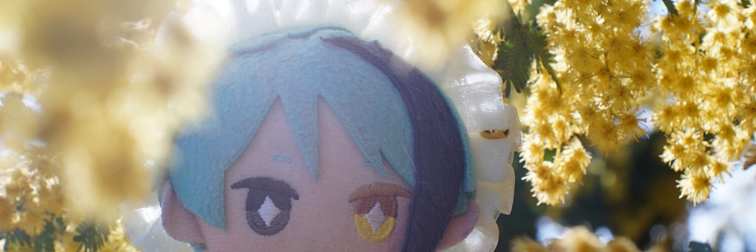 Nov5Usea's profile banner image