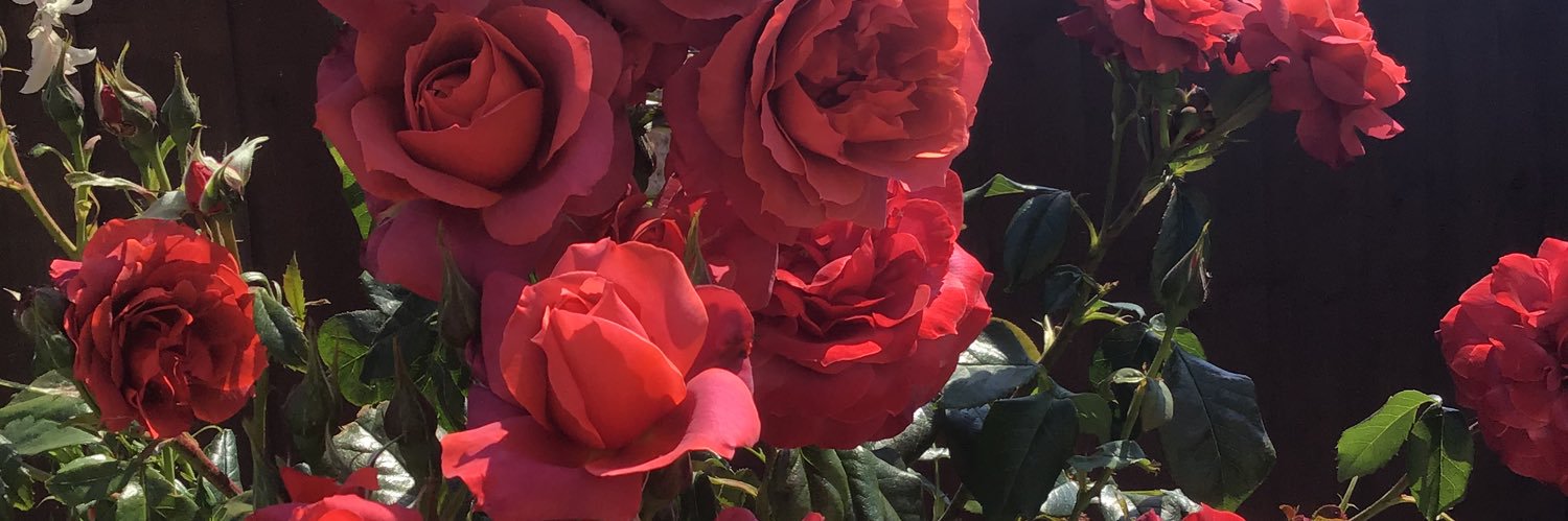 gillpsych's profile banner image