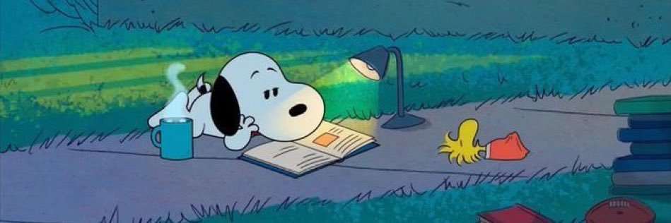 beco diagonal das sapatao lokas banner