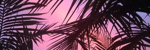 _MARS__ECHELON_'s profile banner image
