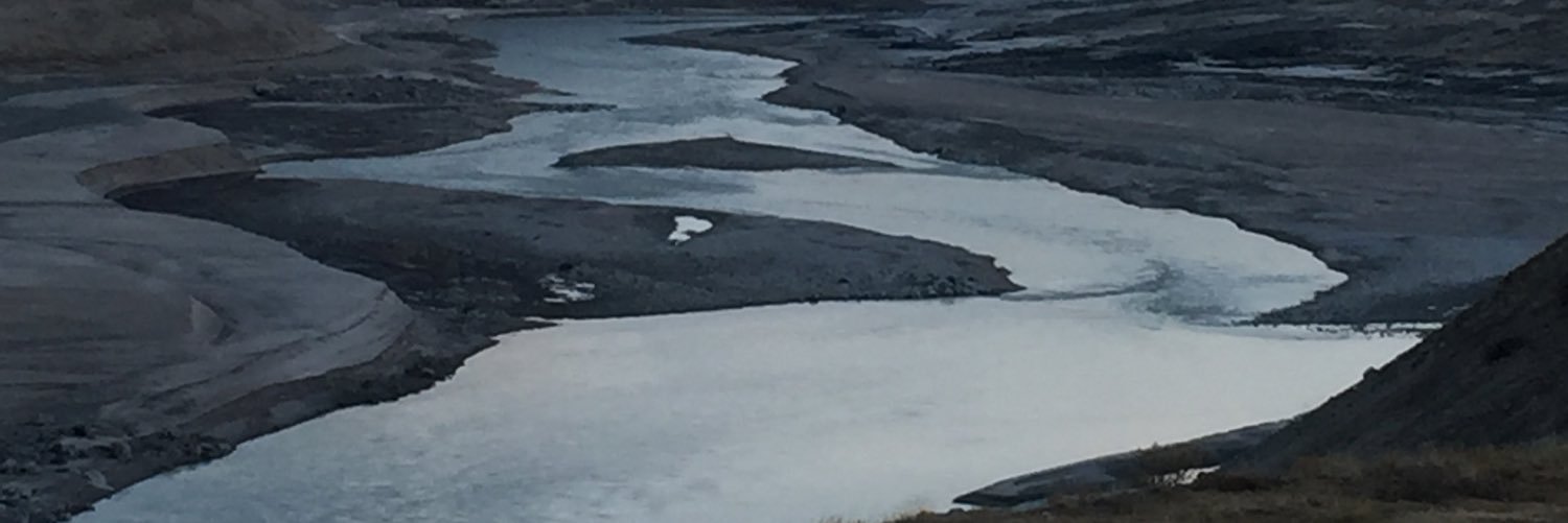 laura faye tenenbaum banner