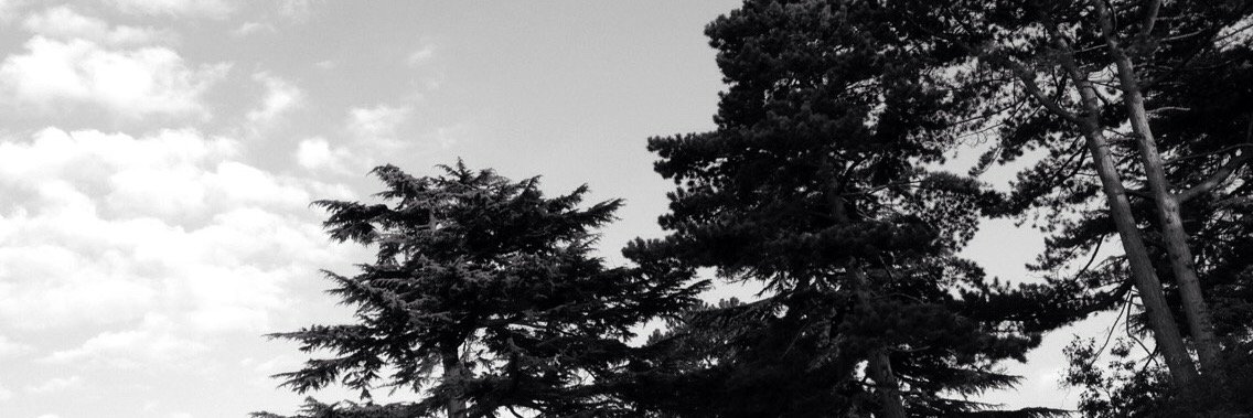 aeliengrunge's profile banner image