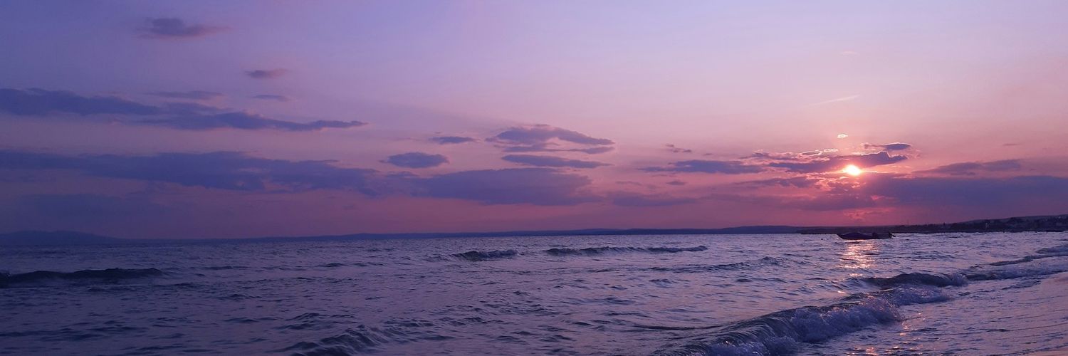 Liazusa's profile banner image