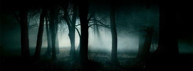 davidvekan's profile banner image