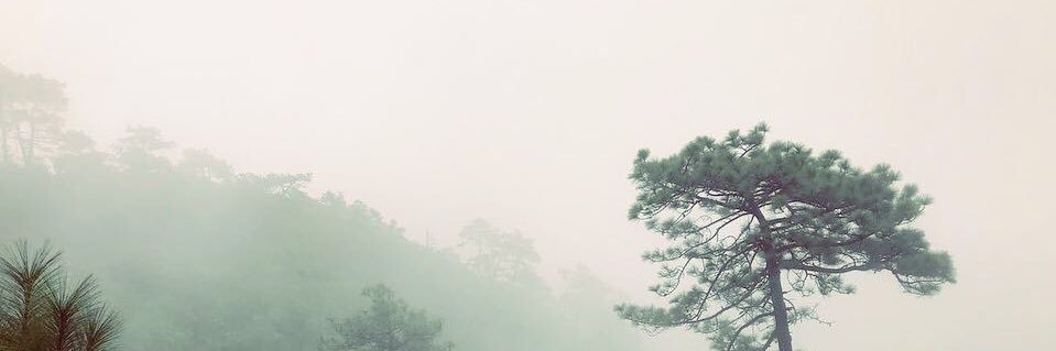 SarahAyton2's profile banner image