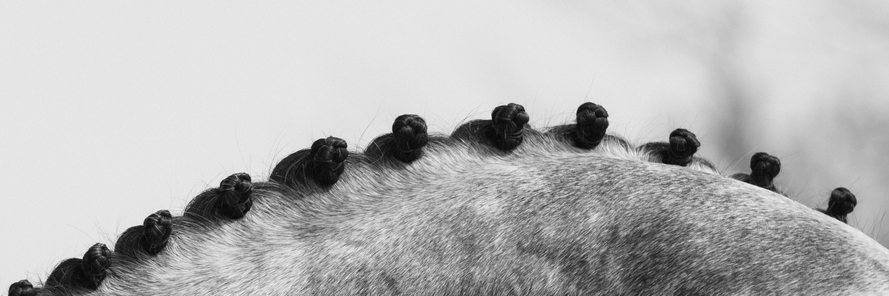 EmilyHoefman's profile banner image