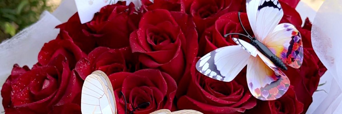 suzethxo's profile banner image