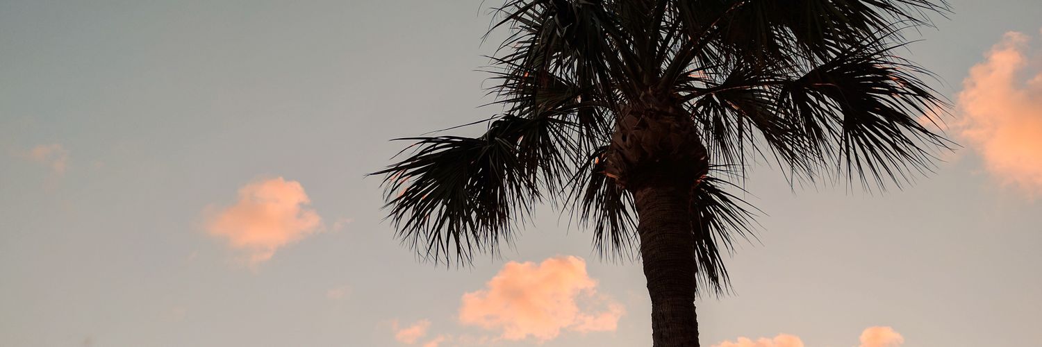 griffinbufkin's profile banner image