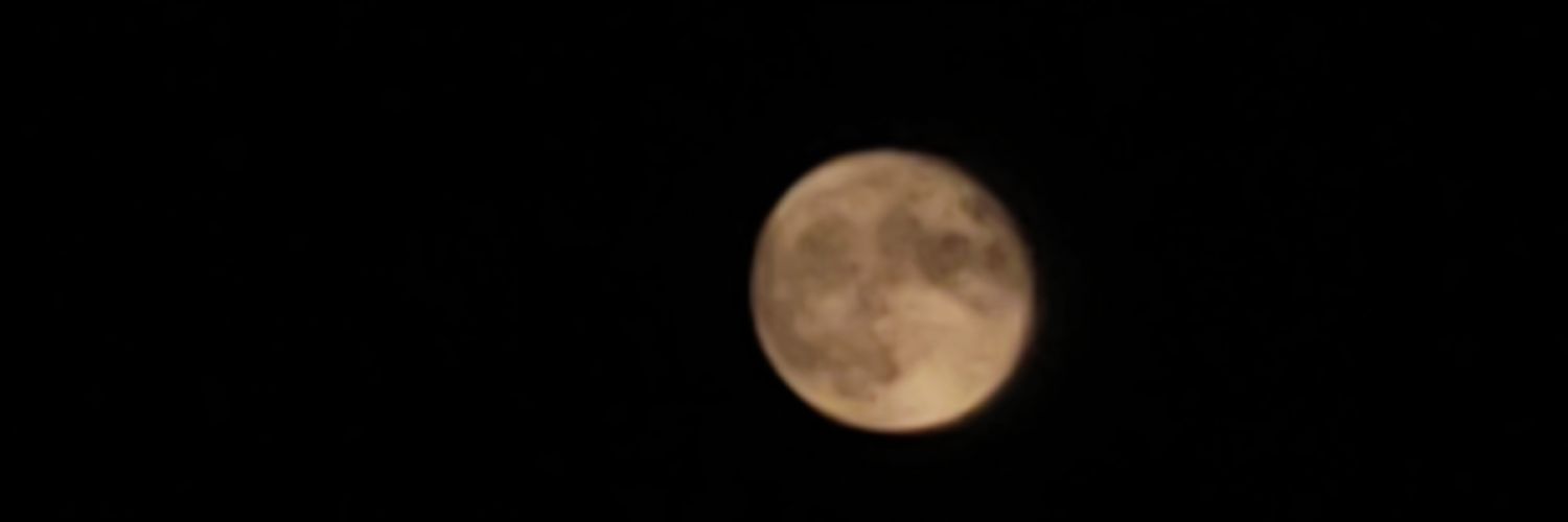 FrankInvstemnt's profile banner image