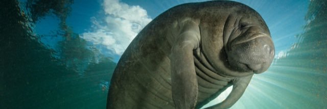 eelammee's profile banner image