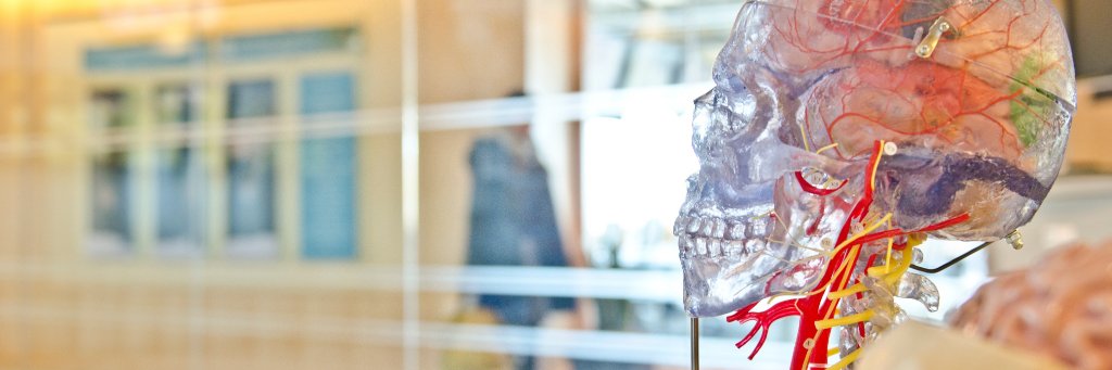 Ícaro Oliveira banner