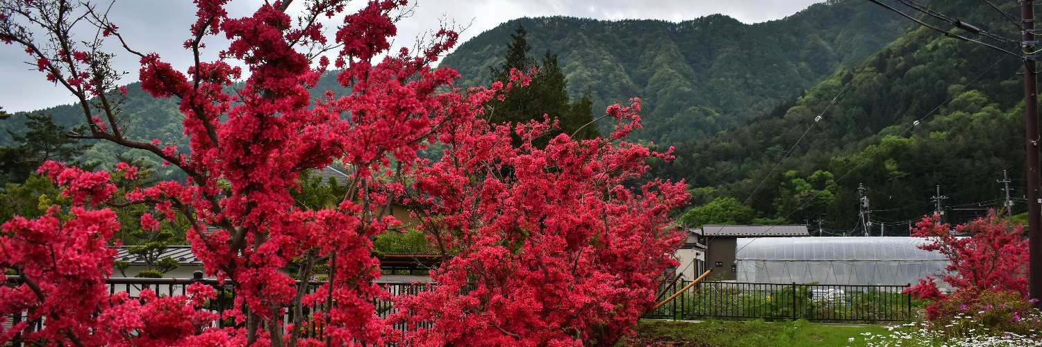 a made up sound banner