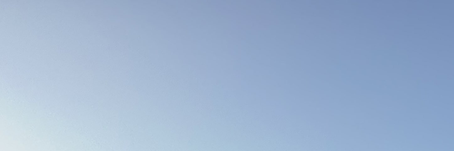 Ria's banner