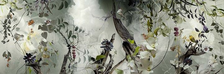rashminiks's profile banner image