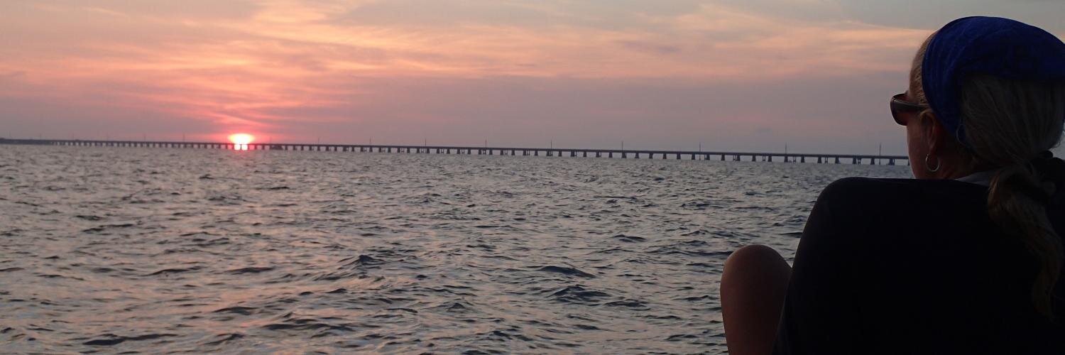 janskeylife's profile banner image