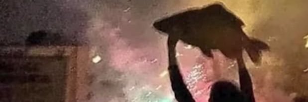 obrenas's profile banner image