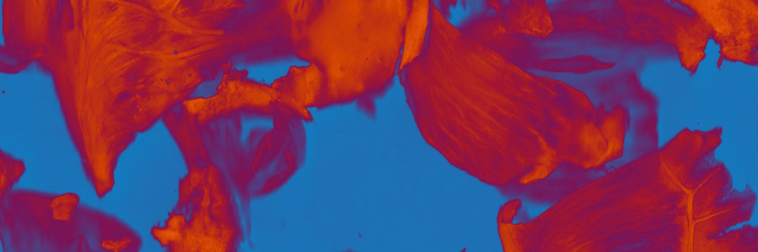 Бугров banner