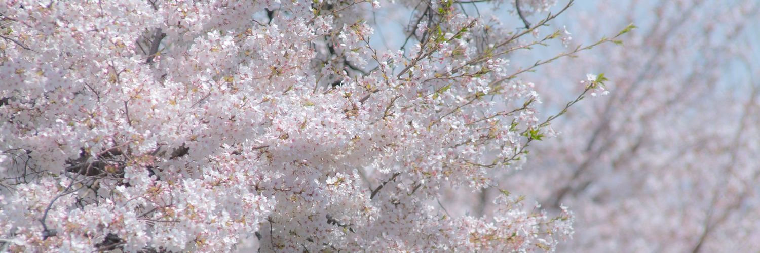 aktk_mk's profile banner image